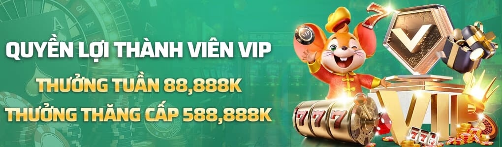 thành viên vip